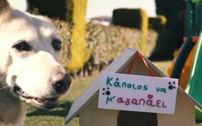 ΣΥΜΜΕΤΟΧΗ ΣΤΟΝ 10ο ΔΙΕΘΝΗ ΜΑΘΗΤΙΚΟ ΔΙΑΓΩΝΙΣΜΟ ΤΑΙΝΙΩΝ  ΜΙΚΡΟΥ  ΜΗΚΟΥΣ |«ΚΑΠΟΙΟΣ ΝΑ Μ΄ΑΓΑΠΑΕΙ»